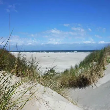 In Dunes With Stunning Views Юлианадорп