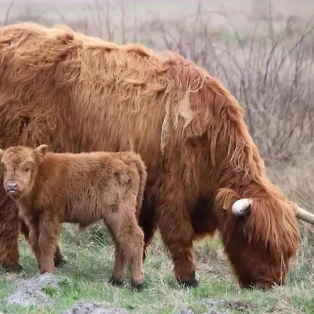 In Dunes With Stunning Views شقة جوليانادورب