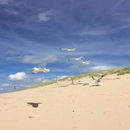 In Dunes With Stunning Views Apartmán Julianadorp