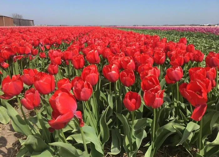דירה In Dunes With Stunning Views יוליאנאדורפ