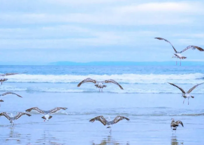 In Dunes With Stunning Views דירה