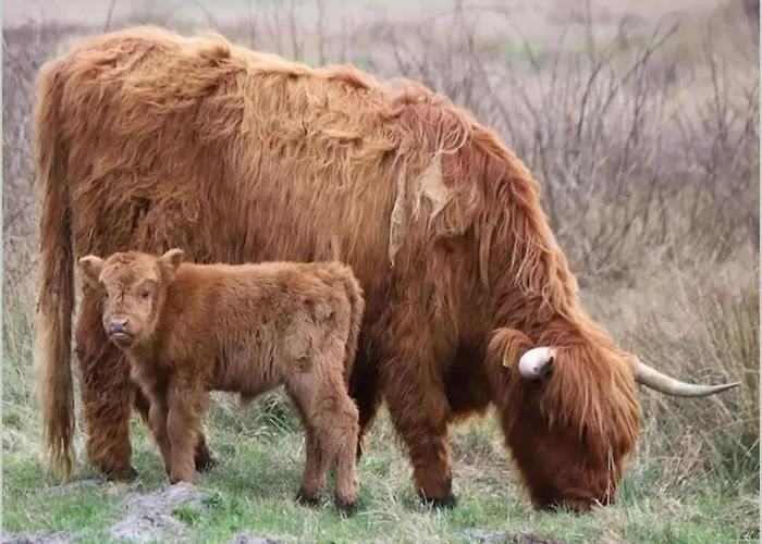 In Dunes With Stunning Views דירה יוליאנאדורפ