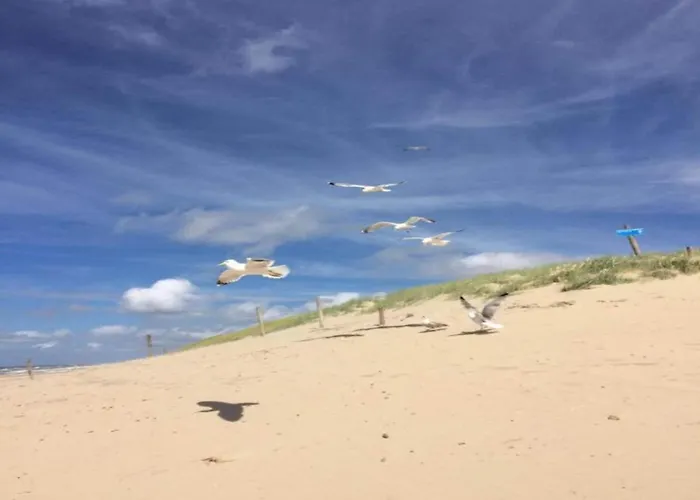 In Dunes With Stunning Views דירה יוליאנאדורפ